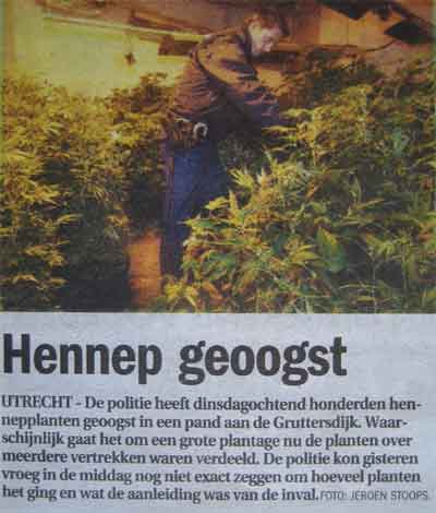 Politie oogst Wiet???